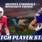 arizona cardinals vs minnesota vikings match player stats